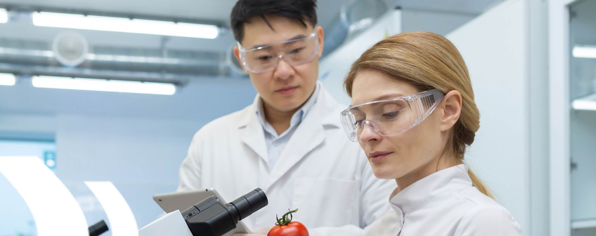 ISO 22000 Schulung Schillinger & Partner – Lebensmittelsicherheitsmanagement für eine sichere Lebensmittelkette Zwei Personen am Mikroskop, symbolisieren die ISO 22000 Schulung zur Einführung eines Lebensmittelsicherheitsmanagementsystems und zur Gewährleistung der Lebensmittelsicherheit.